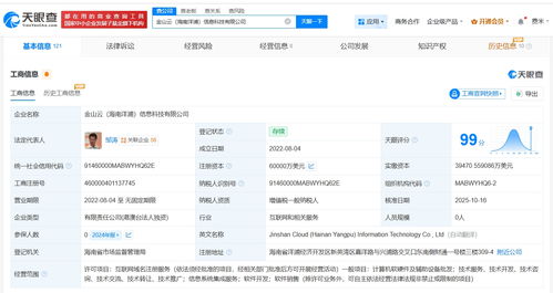 金山云旗下海南洋浦信息科技增資至6億美元，強(qiáng)化信息系統(tǒng)集成服務(wù)布局