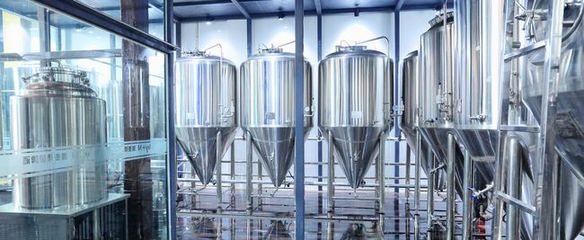 金鯊啤酒設備 匠心工藝賦能，共促釀酒行業(yè)共贏發(fā)展